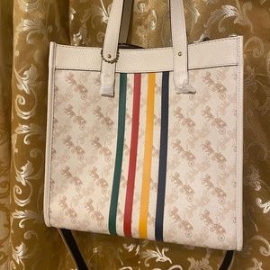 Limited Edition Coach x Hudson's Bay Stripes Tote Bag